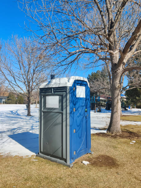 Best Portable Toilets with Baby Changing Stations  in Lake Monticello, VA